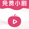WWW,984se·COM网站APPAPP应用